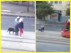 To čo urobila vodička električky na SLOVENSKU sa len tak nevidí! Mimoriadna ľudskosť dojala tisícky Slovákov.