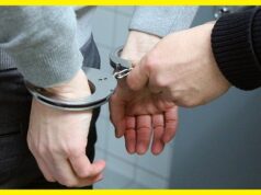AKCIA „STROM“ Slovenská POLÍCIA opať zasahovala. OSEM OBVINENÝCH