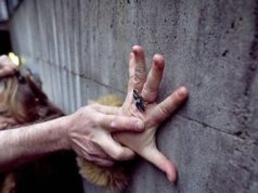 15 nemravníkov sa vystriedalo na bezbrannom dievčati (18): Štyri hodiny nepredstaviteľného hororu