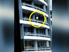 VIDEO Dve deti prišli o mamu. Sandra († 27) si fotila selfie na balkóne na 27. poschodí