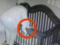 Malé dievčatko strážila jej babička. Čo zachytila skrytá kamera, je veľmi zaujímavé …