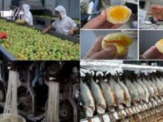 10 potravín vyrobených v Číne, ktoré sú naplnené umelými hmotami, pesticídmi a karcinogénnymi chemikáliami