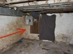 Chcel v pivnici vybúrať múr. To ale nečakal čo za ním nájde. Ťažko to opísať slovami!