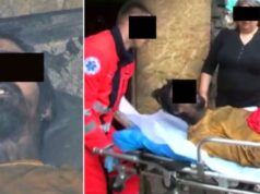 FOTO: Ľudská udiareň na Slovensku urobila z Marka zombie! Denné svetlo nevidel niekoľko mesiacov.