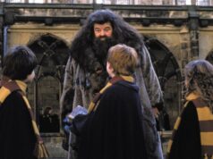 Smutný pohľad na hviezdu Harryho Pottera. Skončil na vozíku! Čaká ho vážna operácia