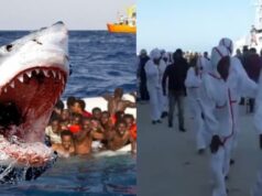 Žraloky v Stredozemnom mori po potopení lode zjedli niekoľko desiatok imigrantov