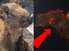 Desivé zábery z Austrálie naháňajú strach: Je TOTO začiatok konca sveta?