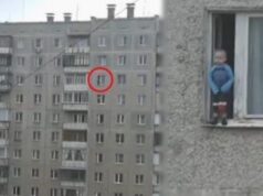 OBROVSKÝ ŠOK! Pozeral sa z okna a zrazu uvidel dieťa na parapete! Ako to celé dopadlo?