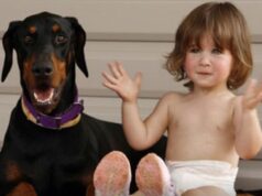 Rodina si osvojila dobermana. To, čo však urobil o štyri dni neskôr, úplne zmenilo ich život.