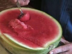 Nikdy nejedzte melón večer pred spaním: Povieme vám, prečo!