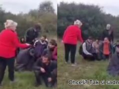 SLOVENSKO: Ženy so psom a s paralyzérom zadržiavali migrantov!